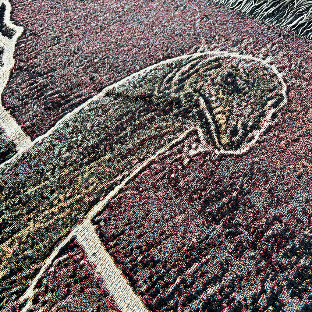 Dinosaur in the Rain blanket