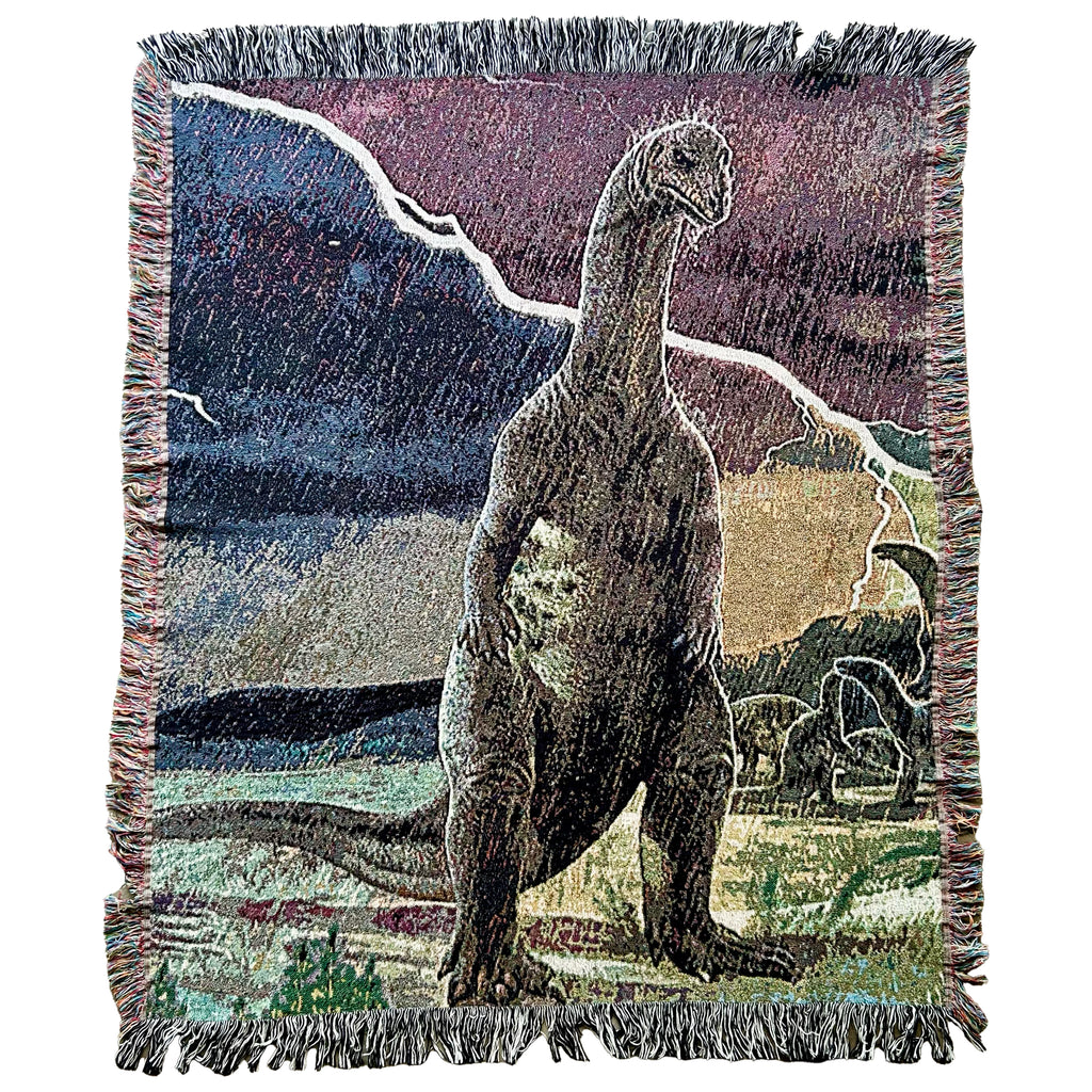 Dinosaur in the Rain blanket